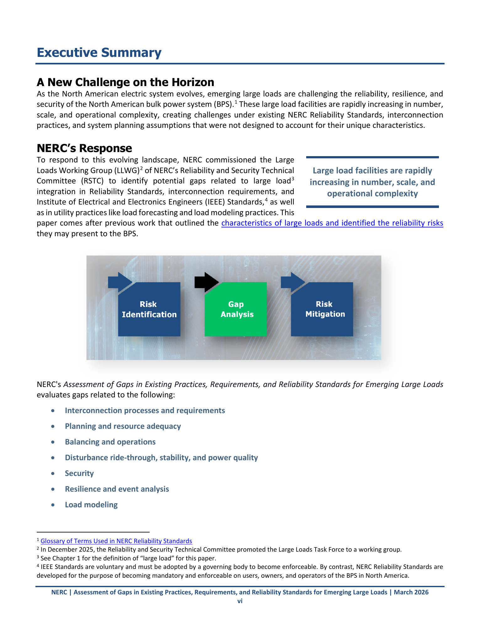 Страница Executive Summary отчёта NERC о пробелах в стандартах для emerging large loads